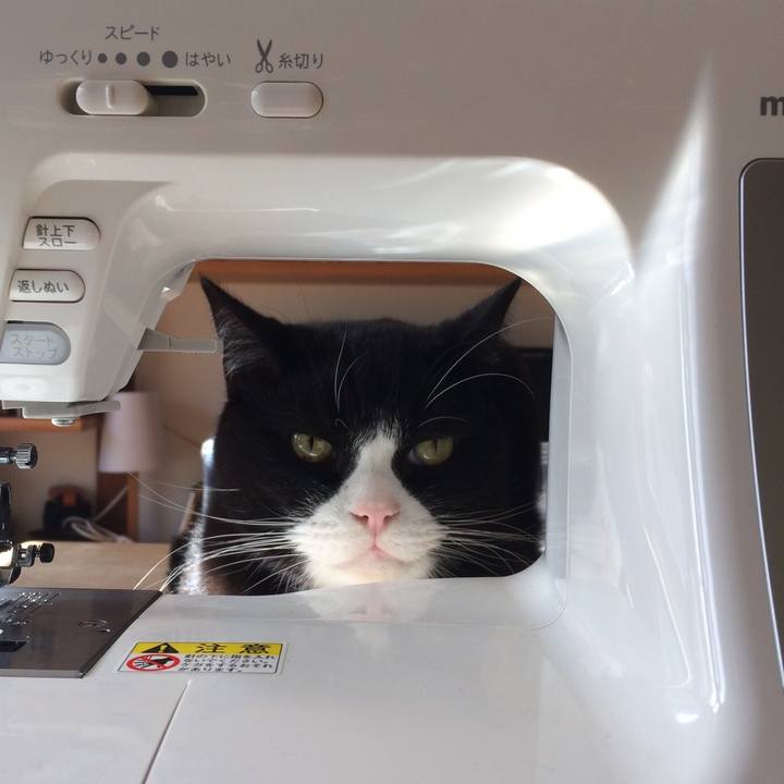 C90c7071 4166 4e08 a70b 286ac03c969b