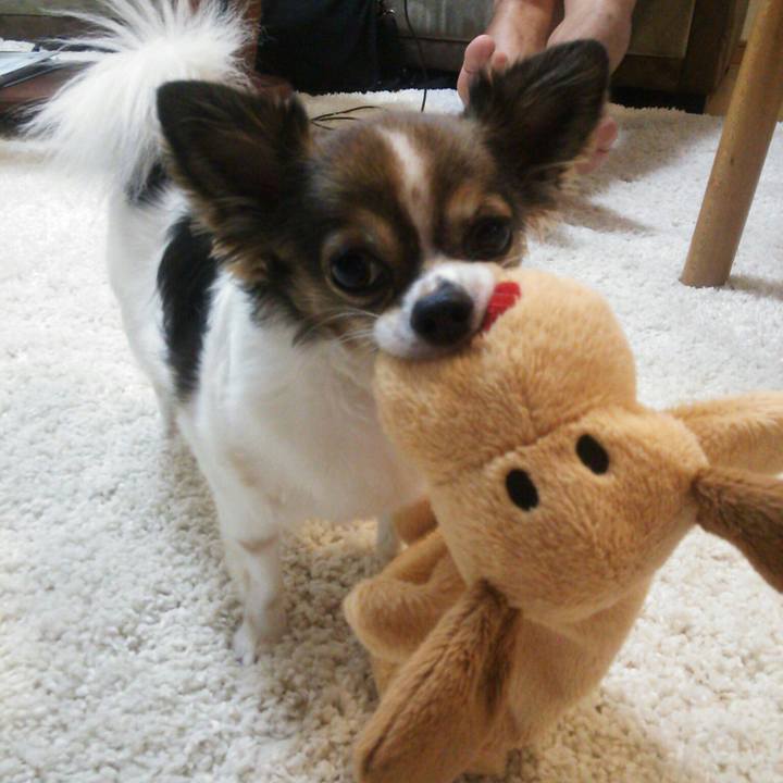 C90cad45 b319 49e4 abd5 d3071a31ed81