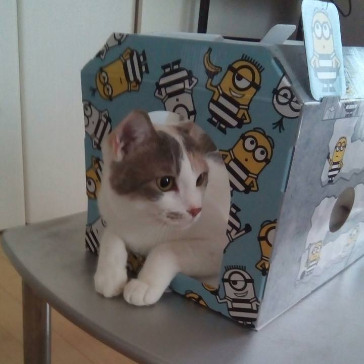 C90cf5c1 920e 452d ab30 baf8bcd21fd7