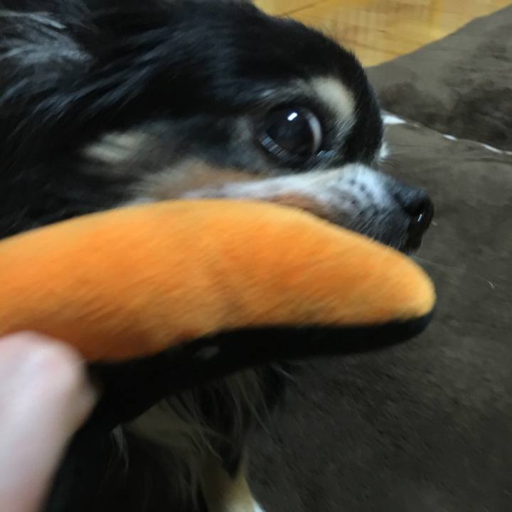 C90d515d f147 40ee 97af 7d0c92430391