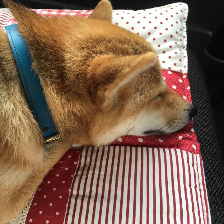 C90d6109 4ca7 42a3 ac02 3c925f17ec66