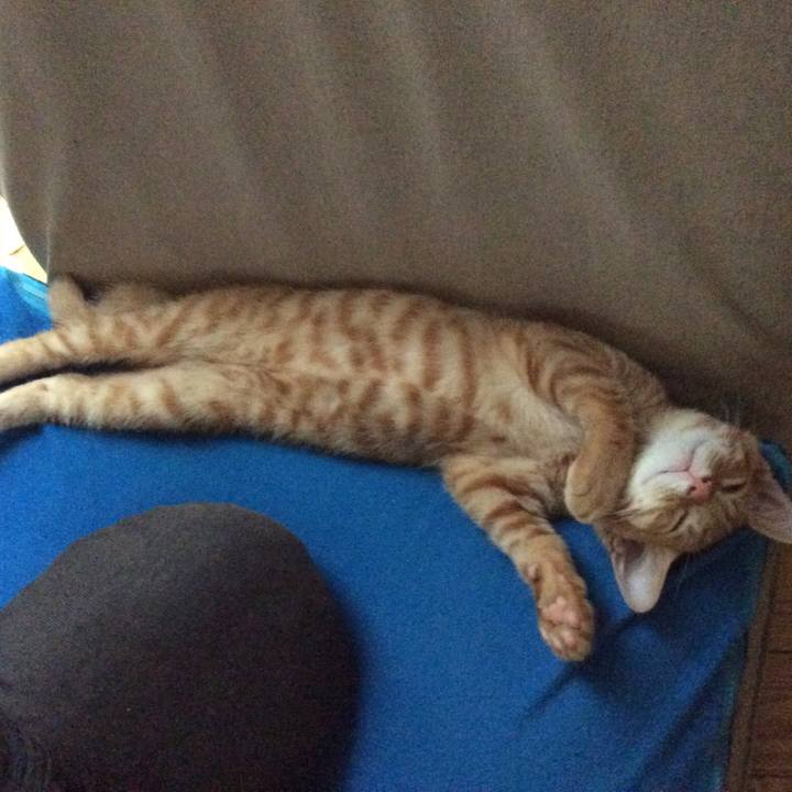 C90d7391 77f6 43c5 9881 1db9af3a6b41