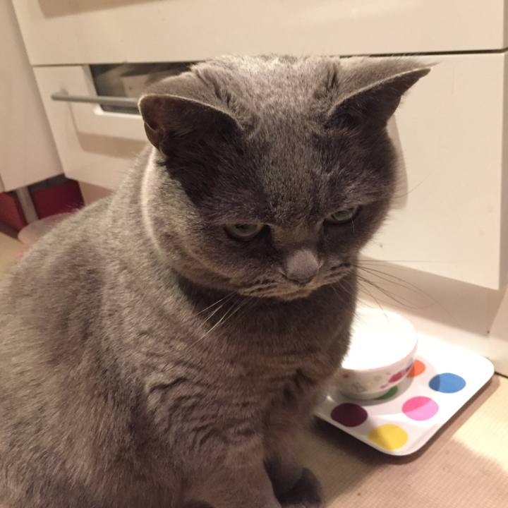 C90da6af 0826 41ca b2ba a9ccf5dd8859