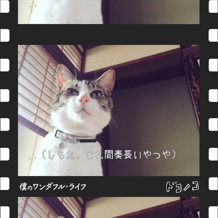 C90da709 781b 437d 98c3 ce2532f1be7b