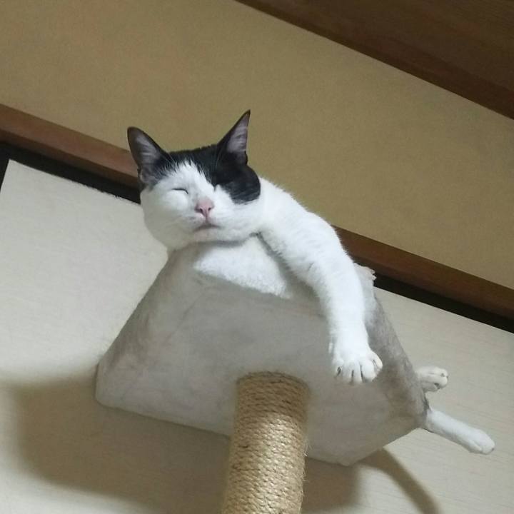 C90dffe0 e1e7 40be b788 a85b9320ae8b