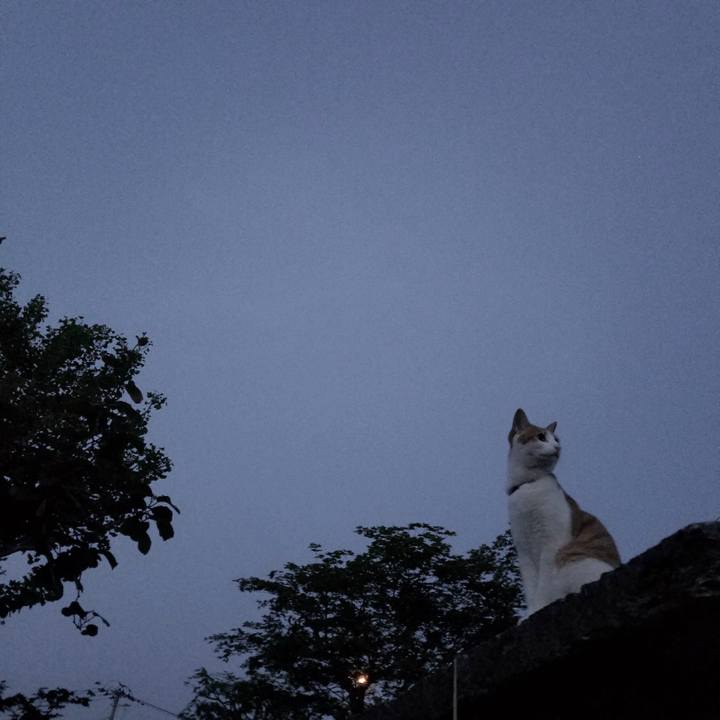 C90e07c6 08ff 46d6 80aa 7aa664745805