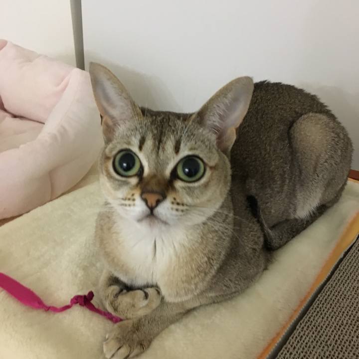 C910bff0 9588 4387 8b77 a0ed8ceaa78d