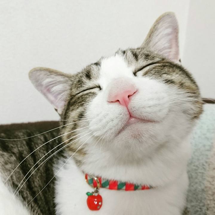 C9111fe8 9f65 4d08 9dc6 44835530b296