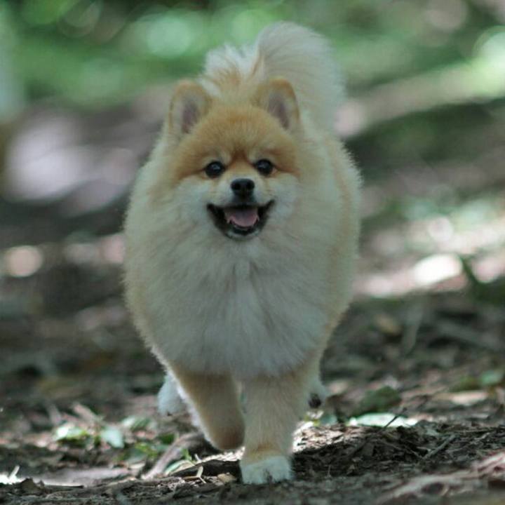 C9117458 9a6d 4559 bac2 4d1150eb946e