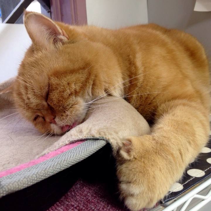 C9123cd4 411b 49fd 8842 6c8d404fbf55