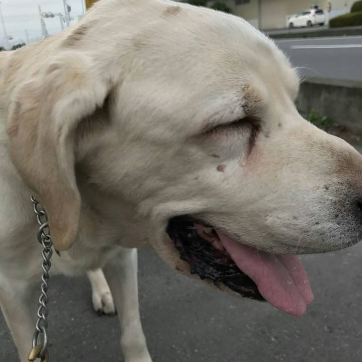 C912f72e 8986 498c b15d c5effcda13db