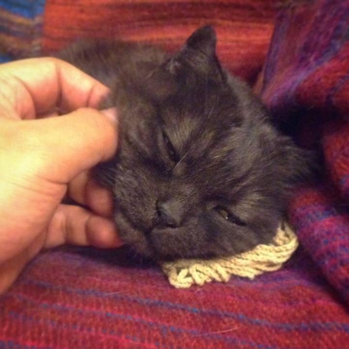 C913ebef 4e91 4691 b035 777860244289