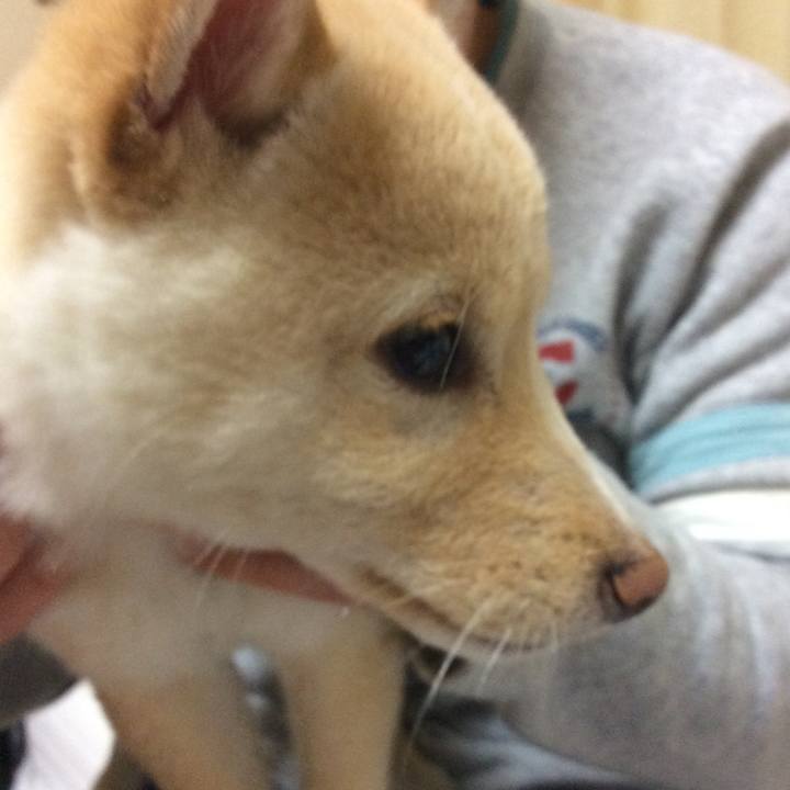 C913f3df 724f 4a70 832b 844b65014270