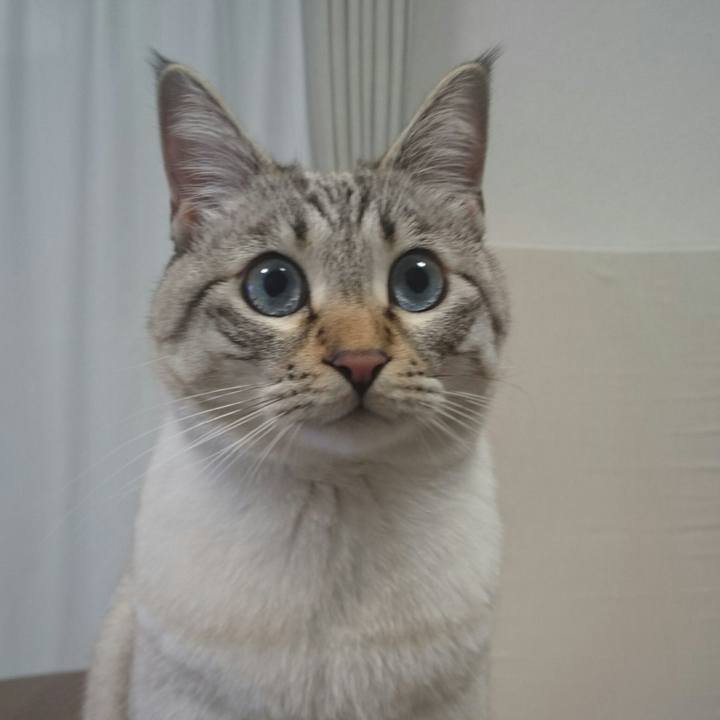 C9155460 71dc 4d81 815b 6aa5bb82a51d