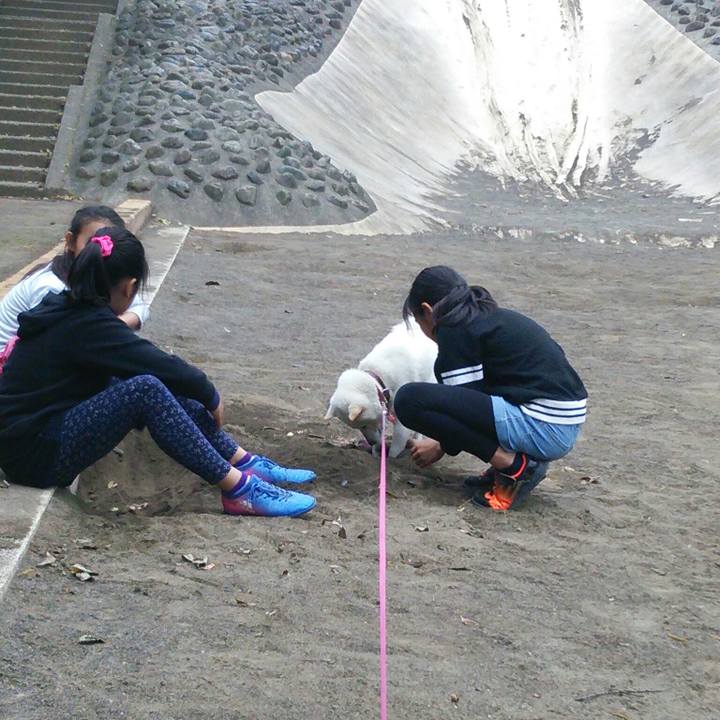 C9159420 ef66 4646 9596 0b654ceb5c04