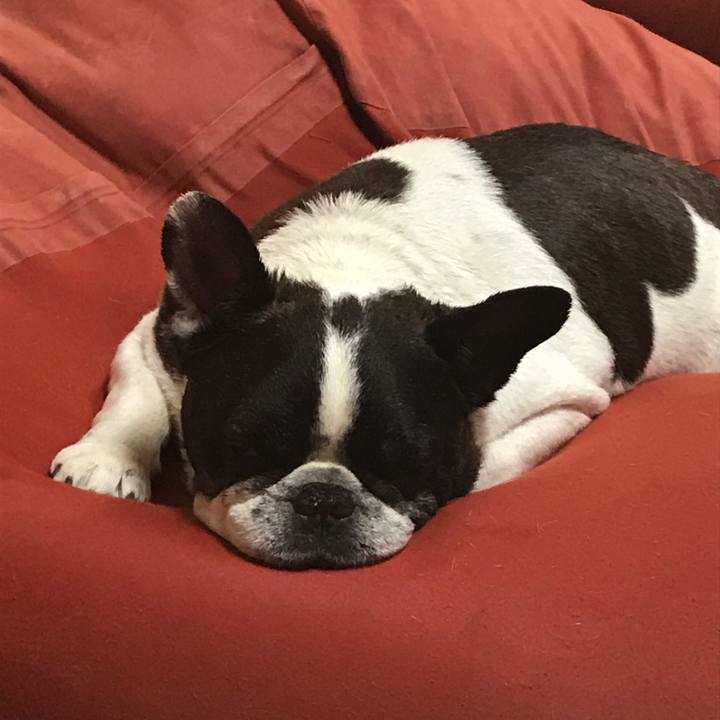 C915cf07 9e9d 4fab 8f9c 3315ee3b4ccd