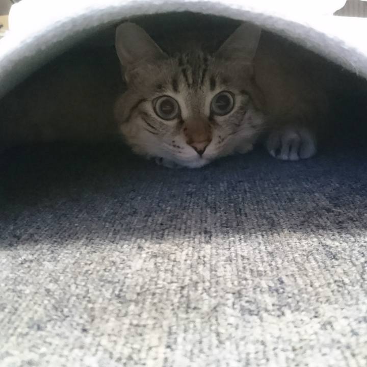 C9168789 f53e 4c01 abac 45a9d67bf2f2