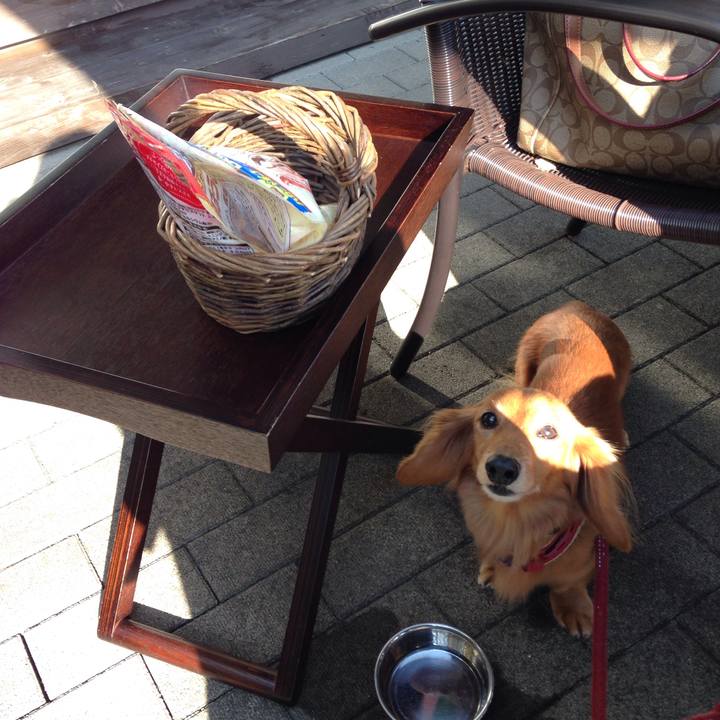 C916b9d1 46af 40b8 99db e4c85c15bcf8