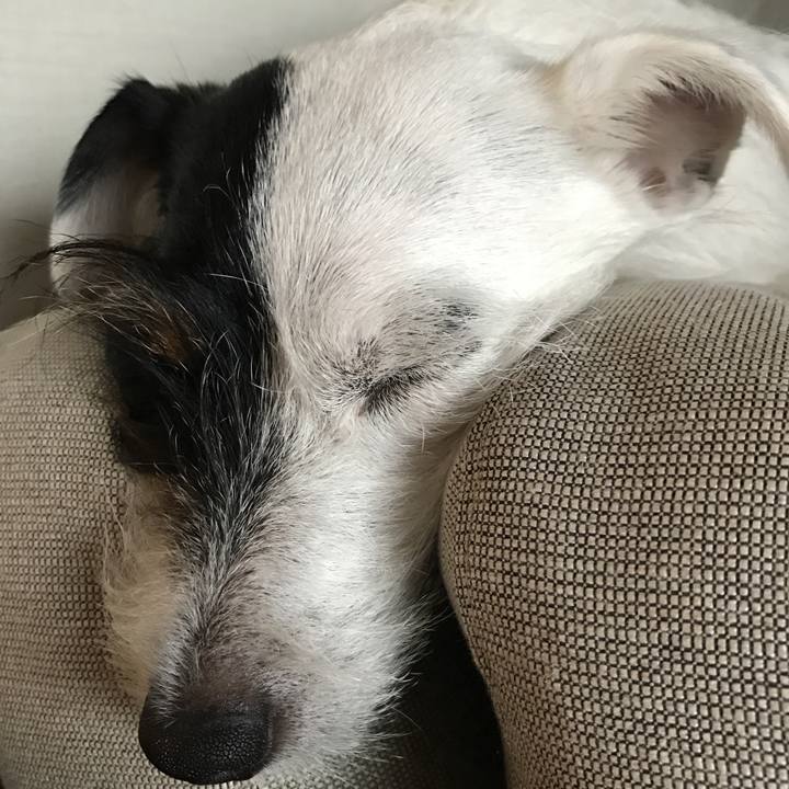 C9171529 e4bd 4e0e bfab e012576f7a78