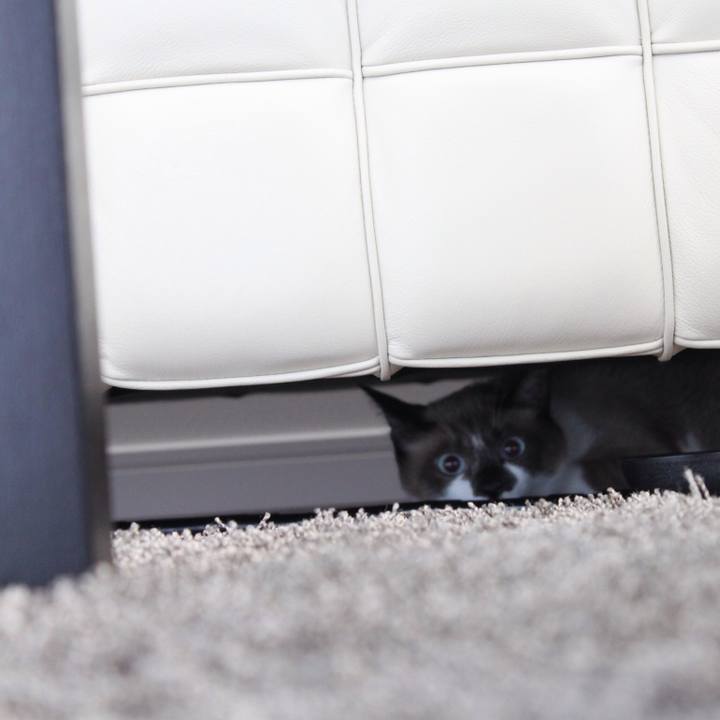 C9173711 e53b 42d9 a38a 3d1580d076ec