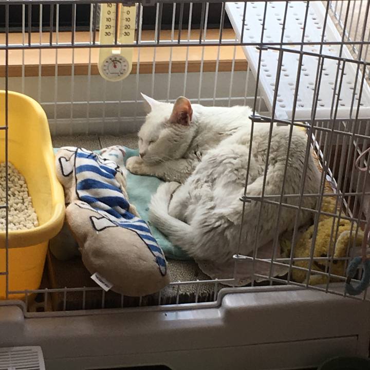 C91754e9 4e9e 486a 9b8b 07e5ebd23fc7