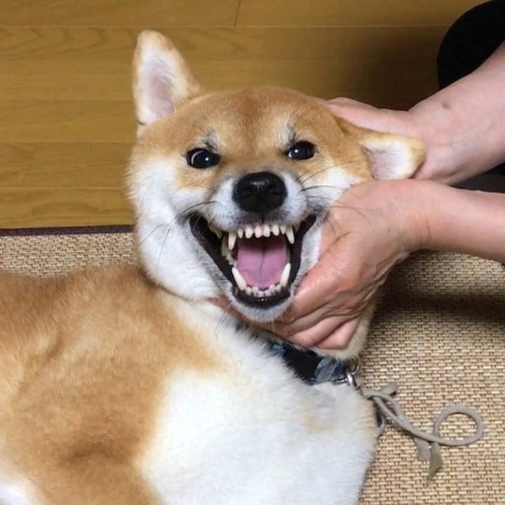 C917f269 7fd4 4284 857f 47ba9422db8c