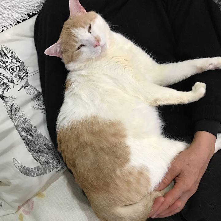 C9180557 863b 44b3 b8c9 1f393c695032