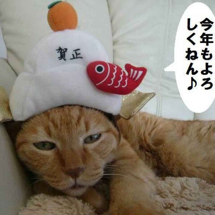 C91894fc 16ab 47e7 9516 3657db199b51