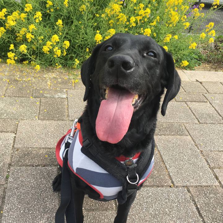 C918bb6d d7f5 4ce8 9e78 98af81ac8546