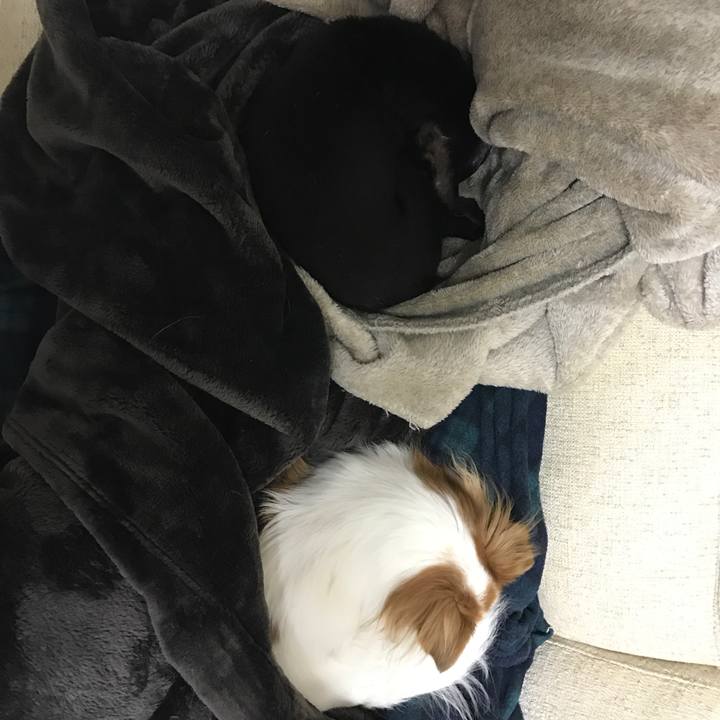 C918d782 a9ff 400b a325 1e4469e12191