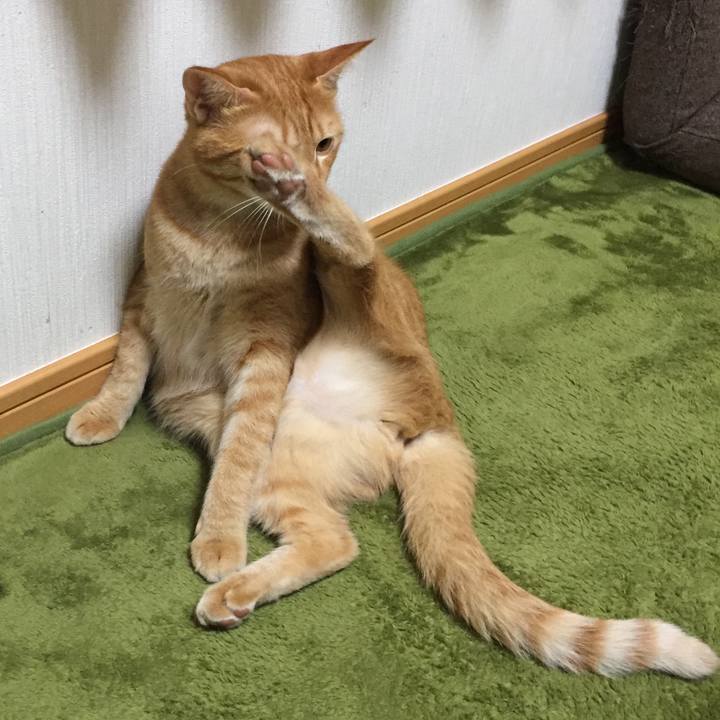 C91910cd f1e0 4a7c 8f9d d367305ae7d0