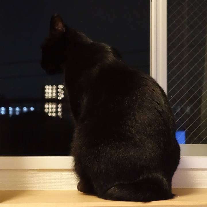 C919ff11 de4d 4e5a 9701 118b7d9d7acd