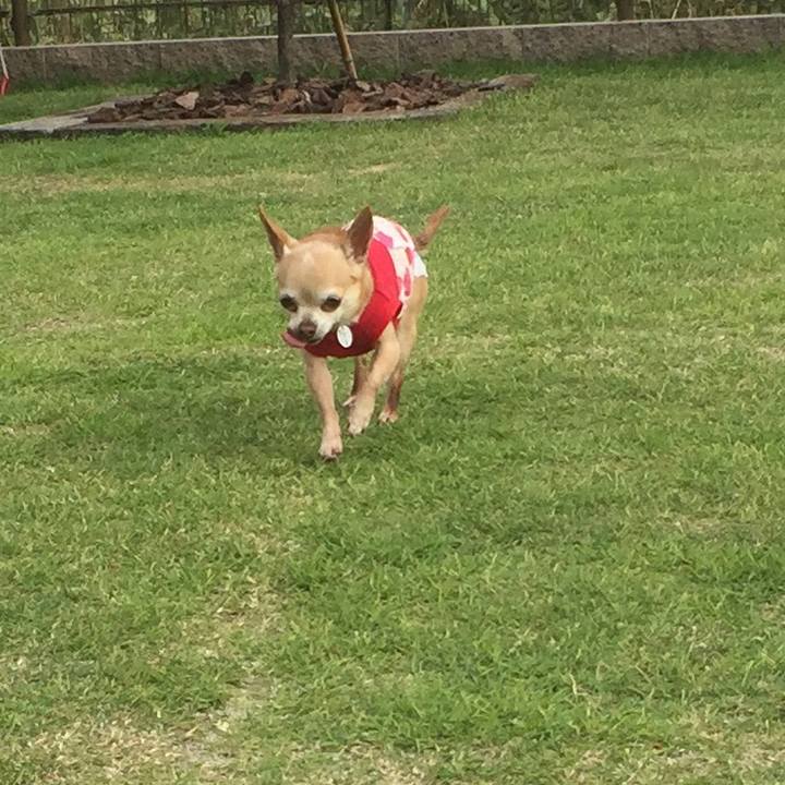 C91a0e3d 9a53 4d87 8822 71586311bf87