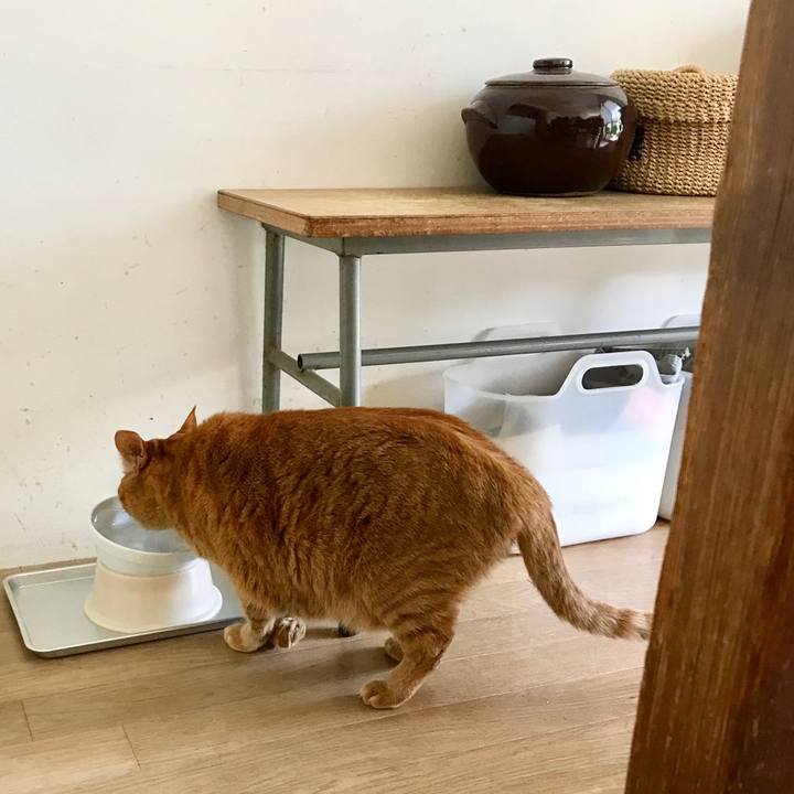 C91a35c3 9c21 470a b5a3 f4a7dd305f9c