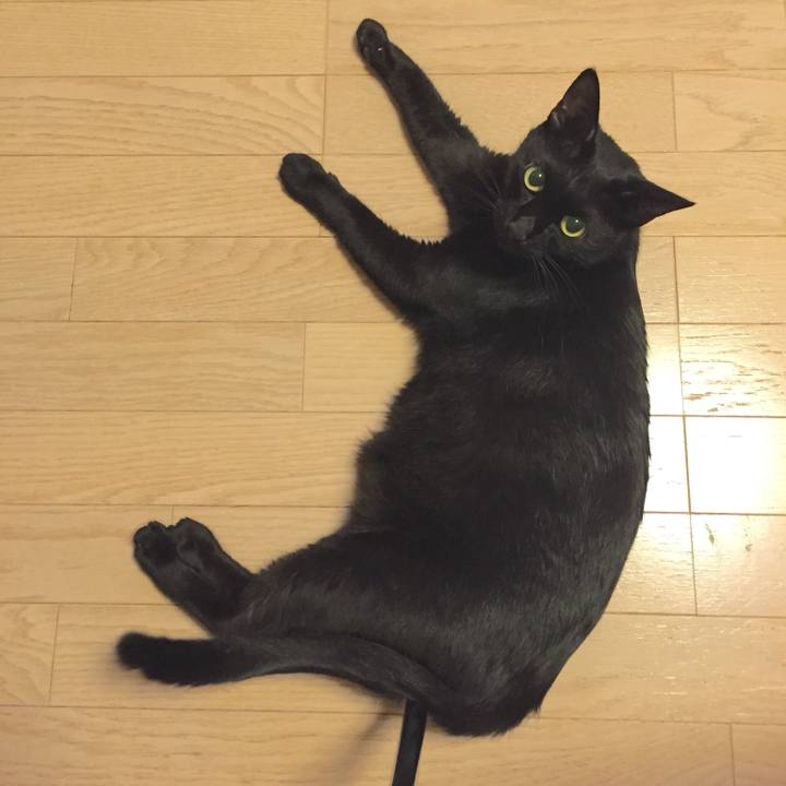 C91a5945 0eaa 47cb b012 1485df843d6f