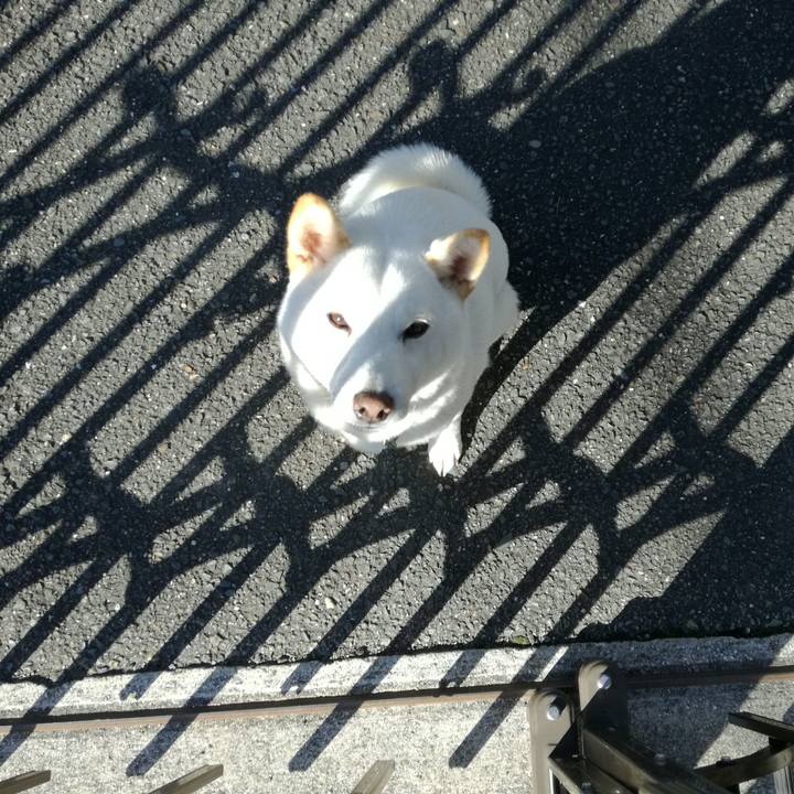 C91bb674 94ed 41d9 965a e3b7f9267117