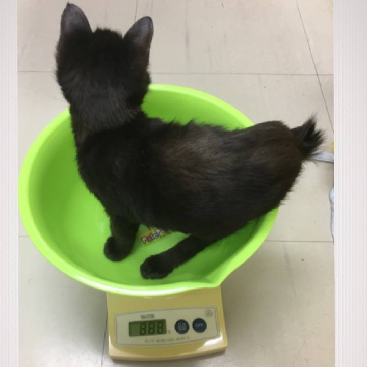 C91c2fae 3df2 4045 85ad abfb8326cf3d