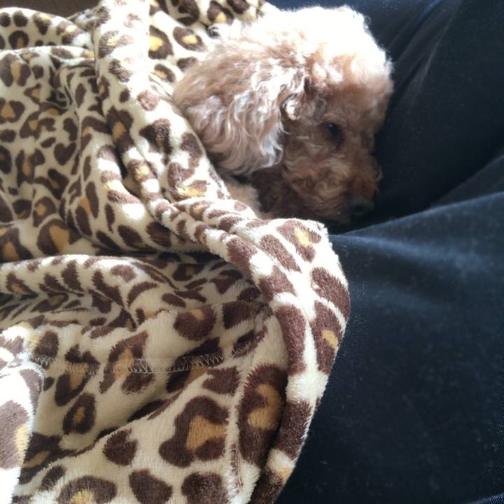 C91c3844 30f3 4f5f b55c 59ff7eb12ca3