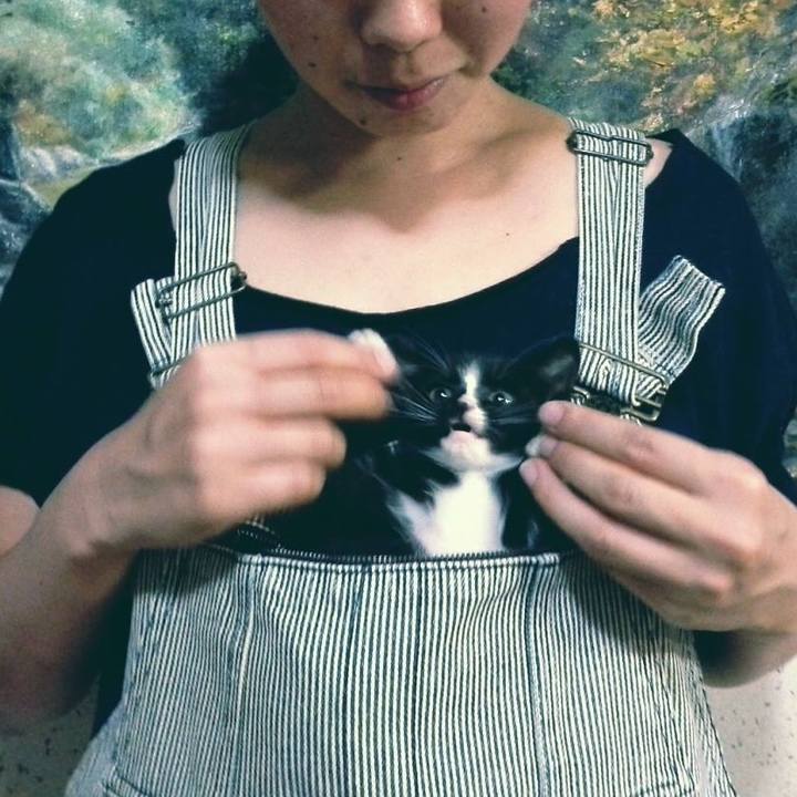 C91c5ee5 3e1b 418f 820f 1ee4071fd864