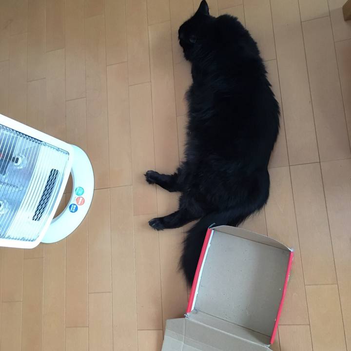 C91c7d23 f174 476e b4a4 d7f88a6c087a