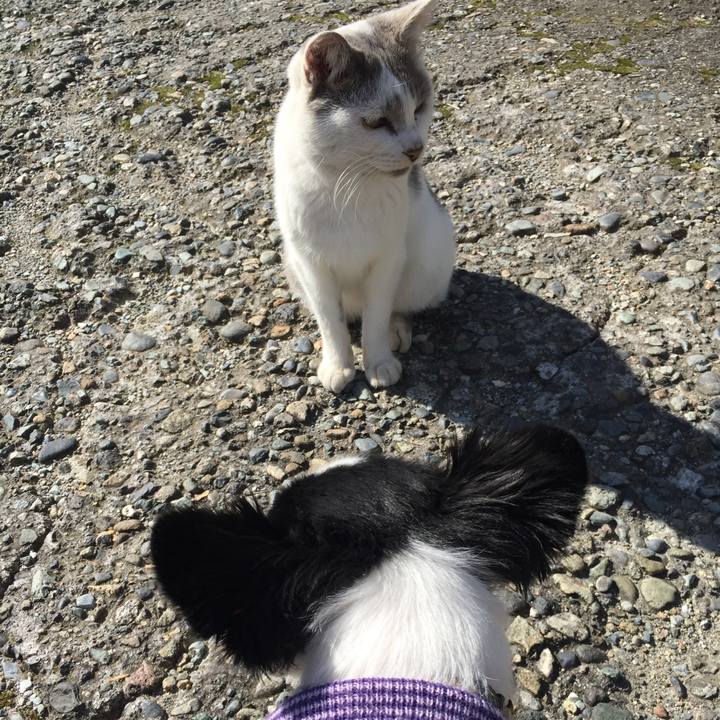 C91c80d2 e0e9 484b abfa 0c979a2f1a33