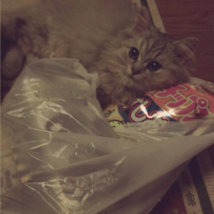 C91d5eb9 dcc9 43d8 846d 96f08ca56f48