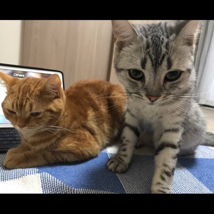 C91e8f97 8bdd 44ad a09d affee389d1f1