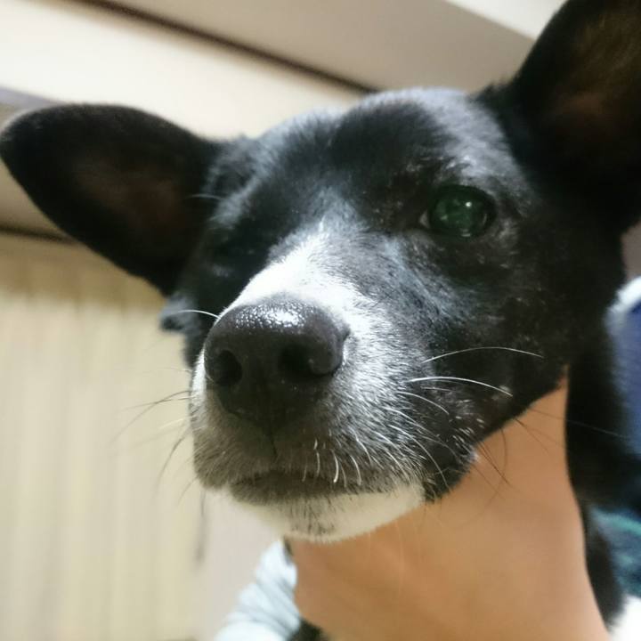 C91ec3d9 1c7a 4a7c 9cb8 08159558683c