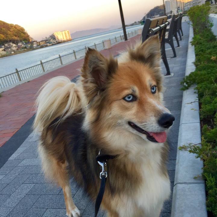 C91f30db 5781 4e3c 89bb b17fed9cb888