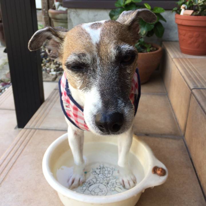 C920c800 fd8b 4893 b0fe b67a0bb36a42