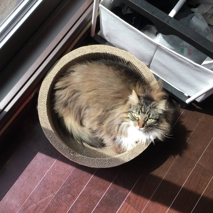 C921714a d1ac 4f53 8b4e 528be399022a