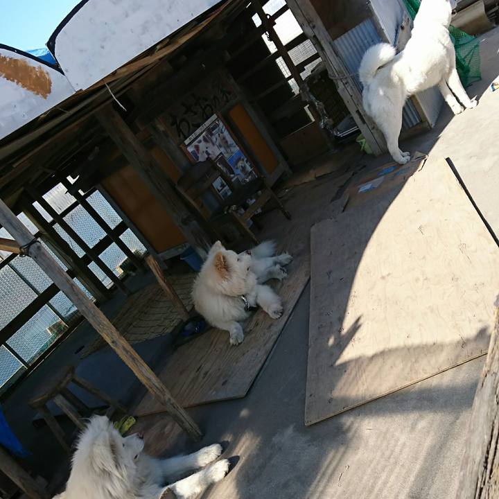 C92210c8 af41 4aa6 9369 d180b90d8a9e