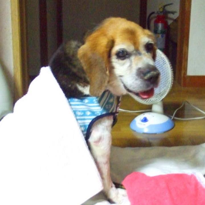 C922508c ac38 47b8 9741 d61b84f93829