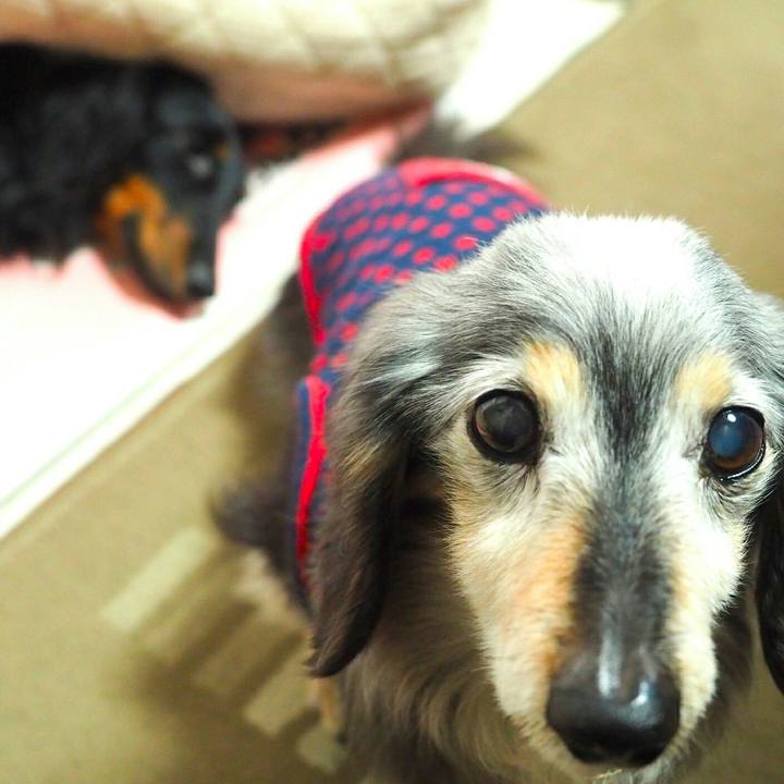 C922987b 022b 43d1 bbc5 65645a5cc880